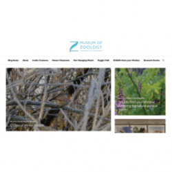 Screenshot of the University Museum of Zoology Cambridge blog's homepage