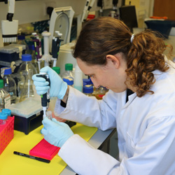 Student at laboratory workbench Student at laboratory workbench